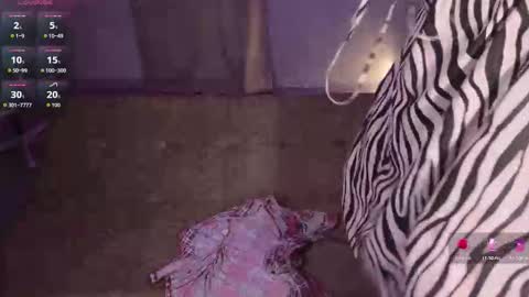 elaseles23 online show from November 11, 4:47 am