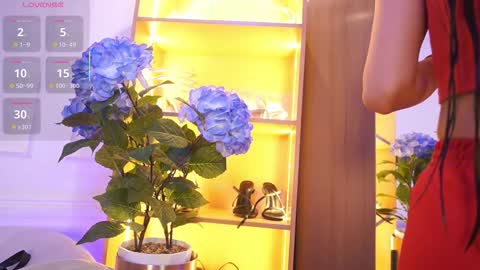 Elasummeer online show from November 20, 11:53 am