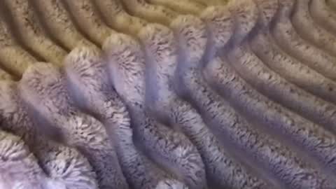 eliterd online show from October 30, 3:07 am