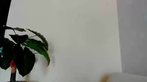 My name is ElizaPVT is open online show from September 8, 9:25 pm