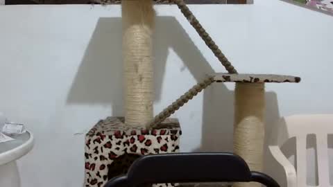 Elizabeth Martinez  online show from March 3, 6:35 pm