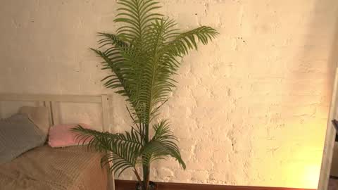 Snapshot of elliefrost chatting on March 11, 3:25 am elliefrost online show from March 11, 3:25 am