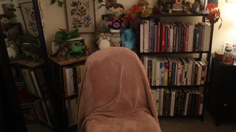 Elly Naomi online show from November 1, 10:53 pm