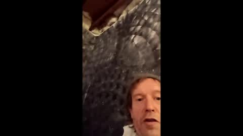 eluardo53 online show from January 12, 5:03 am