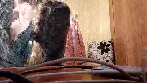 Elza Kom online show from November 16, 7:32 am