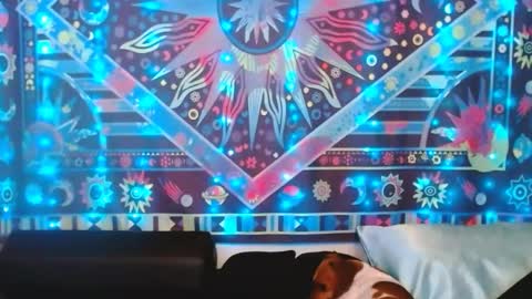 Snapshot of ember_starleena chatting on February 24, 5:31 pm Ember Starleena online show from February 24, 5:31 pm