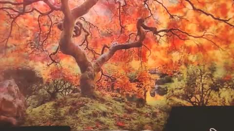 Snapshot of ember_starleena chatting on September 26, 2:58 pm Ember Starleena online show from September 26, 2:58 pm