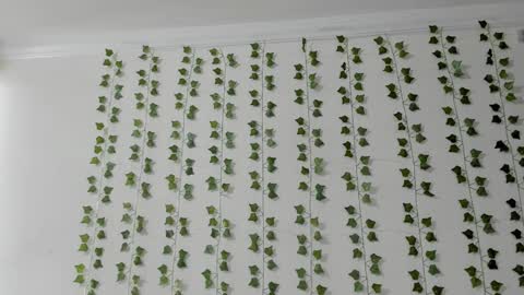 emily online show from February 5, 3:59 pm