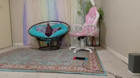 emily haze online show from November 7, 2:03 am