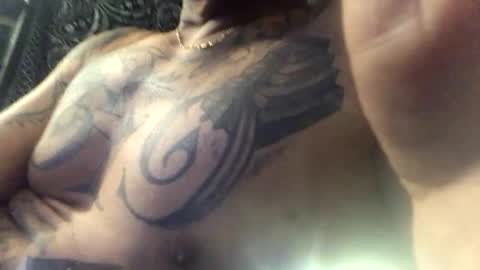 envegas89169 online show from November 9, 10:08 am