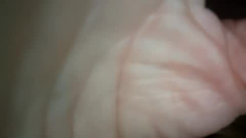 ethereumumm online show from October 31, 6:30 pm