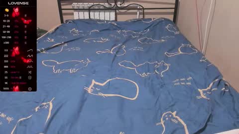 Eva online show from December 1, 12:47 pm