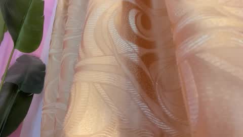 evelyn__rose1 online show from March 8, 2:04 am