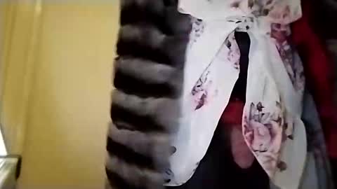evesimmons online show from March 1, 12:53 pm