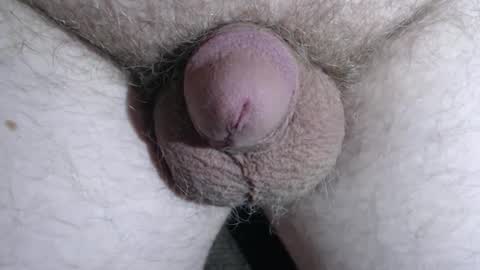 evo_lution_1 online show from March 3, 7:21 am