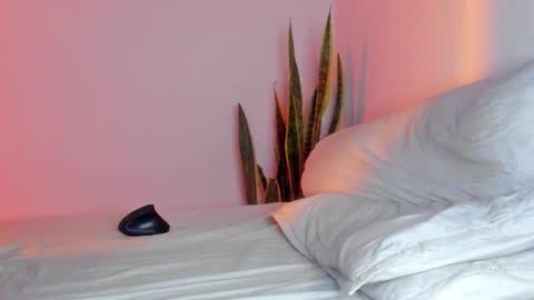 -  A N D E R online show from November 9, 2:04 am