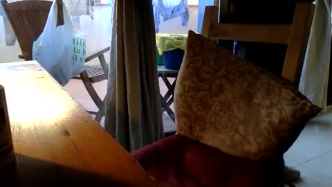 Fabro online show from February 23, 12:51 pm