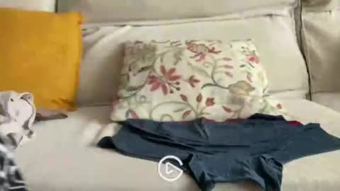 falupy online show from April 24, 3:36 pm