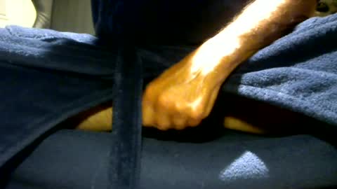 fastoys aka ...what ever.. online show from July 21, 6:32 pm