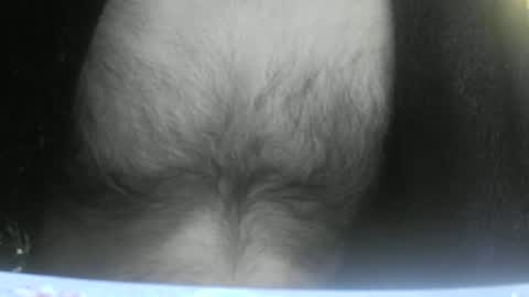 feardubh online show from February 10, 9:04 am