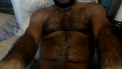 HairyBrownGuy online show from February 11, 11:03 am