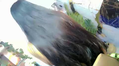 Prianka online show from September 23, 11:15 am