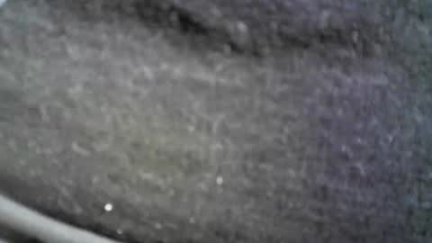 felicaste online show from April 12, 3:32 am