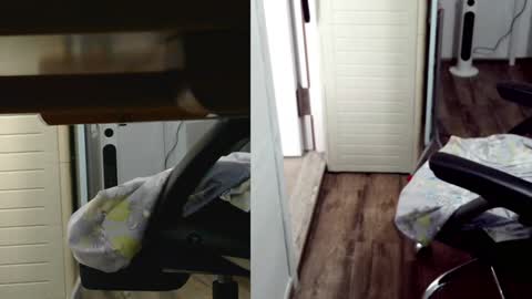 felixlau online show from February 3, 7:51 am