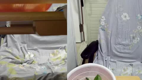 felixlau online show from February 18, 11:55 am