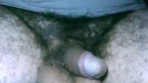 fer_2197 online show from February 17, 12:27 pm