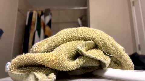 filthymark7 online show from February 25, 5:11 am