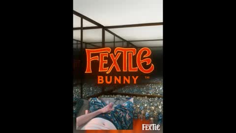 Flextle Bunny online show from November 9, 10:08 am