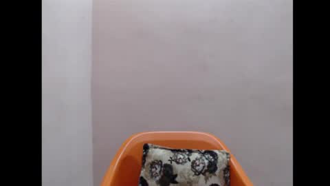 flirtxxdiva online show from November 23, 10:35 am