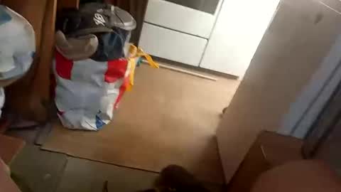 Fouducu online show from March 16, 12:09 pm