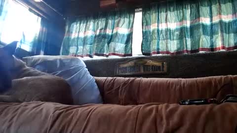 foxbodydave online show from October 7, 1:01 am