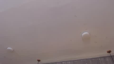 Foxxy  online show from October 27, 11:54 am