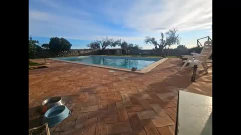 fra  71 online show from March 27, 4:30 pm