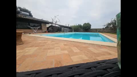 fra  71 online show from April 12, 5:44 am