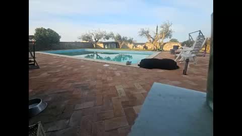 fra  71 online show from March 29, 5:53 am