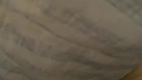 Freddiefirefly online show from December 21, 9:21 pm