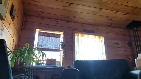 Anderson fz online show from March 1, 8:24 pm