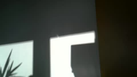 Freetoy online show from January 9, 9:26 am