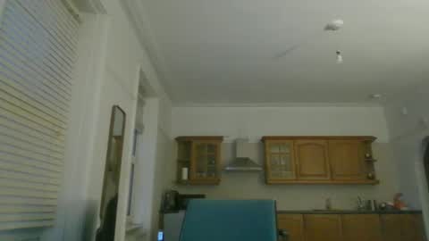 Horny Paul online show from January 24, 5:00 pm