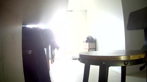 frenchdick1981 online show from July 31, 6:58 am