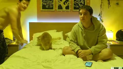 French Horny Bibs online show from January 26, 8:02 pm