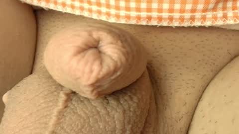 Meadow online show from March 7, 11:10 am