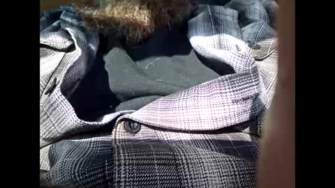 Frickish online show from January 21, 6:55 pm