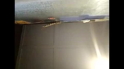 Warwick online show from December 1, 8:12 am