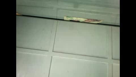 Warwick online show from January 18, 11:55 pm