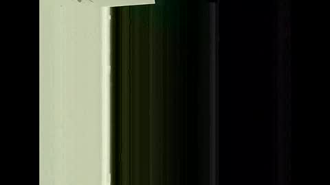 Warwick online show from March 2, 1:54 am